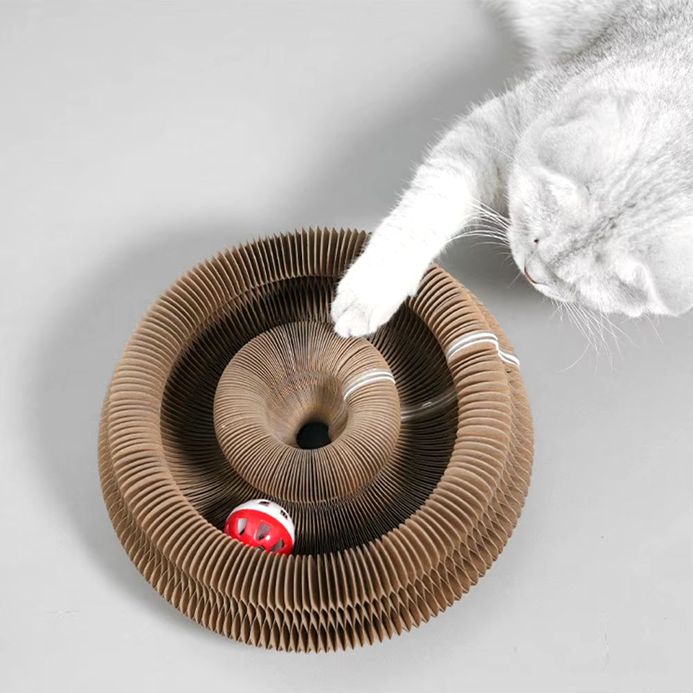 Magic Organ Cat Scratching Board – Interactive Claw Grinding Toy & Accordion Scratcher for Cats